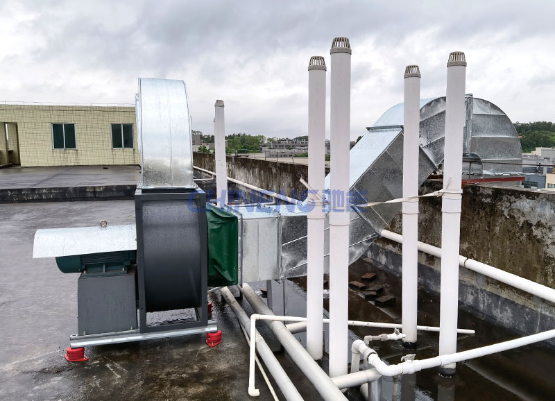 科視光學員工食堂廚房凈化器